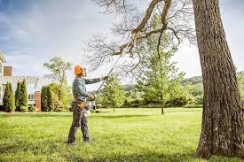 Best Leaf Removal  in Kdeer, IL